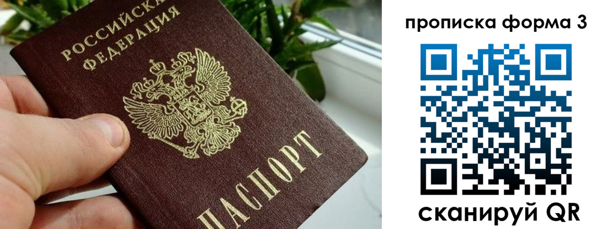 прописка паспорт в Серове